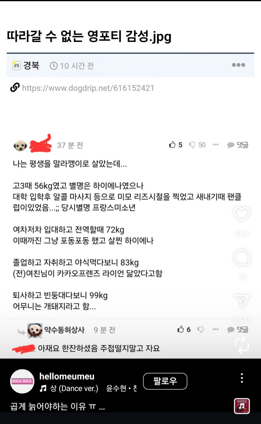 따라갈 수 없는 영포티 감성.jpg