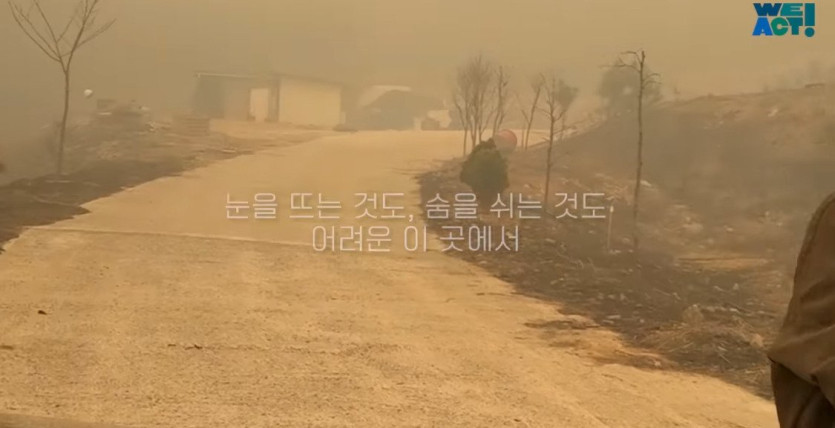 26974dd430de9b9605792c0a127889c0e8164244_20250326081210.jpg 산불로 인해 목줄 묶인 개들은 그대로 죽어가는 중