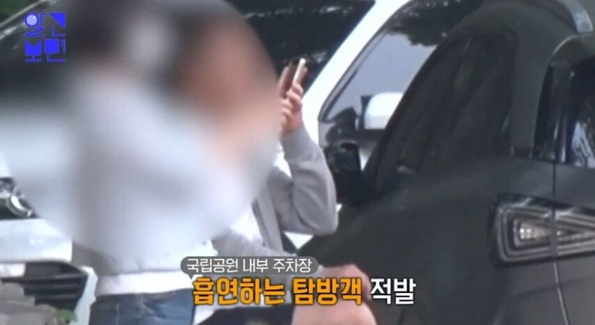 1995113527_qBnzevRs_yuQdkEh7W8jmptwx_20250326_225430_047.jpg 국립공원에서 담배 피다 걸린 흡연자 인터뷰