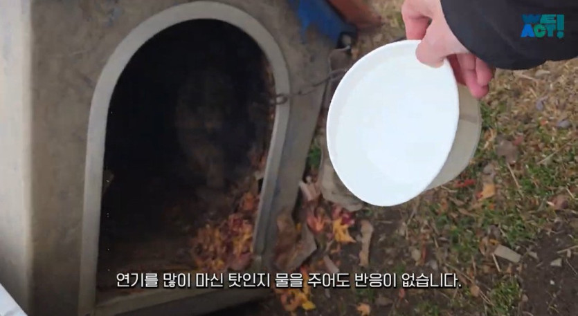 e11c1e2d9b6e950025e6baa91bcce3653733b8d1_20250326081143.jpg 산불로 인해 목줄 묶인 개들은 그대로 죽어가는 중