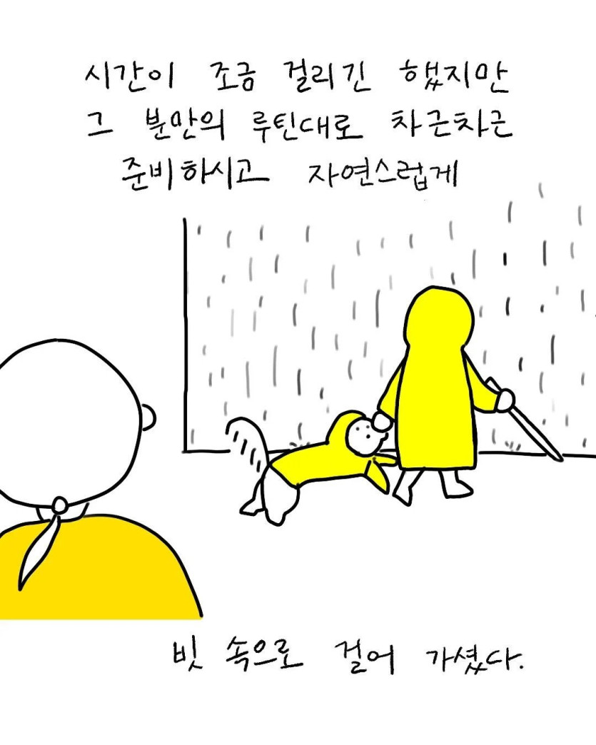 1000024518.webp.ren.jpg 시각 장애인분이 비가 오냐 물어보셨다.jpg