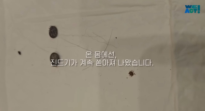 e12c414f420d5ff7cb23bd2b8e76ad50830ae0ef_20250326081218.jpg 산불로 인해 목줄 묶인 개들은 그대로 죽어가는 중