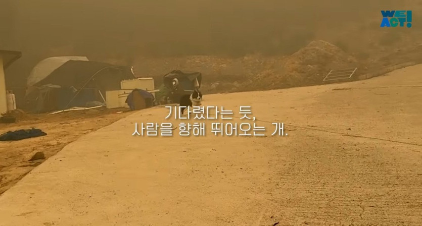 d2257d5c695329bdcfe0635e7f0723132b279085_20250326081205.jpg 산불로 인해 목줄 묶인 개들은 그대로 죽어가는 중