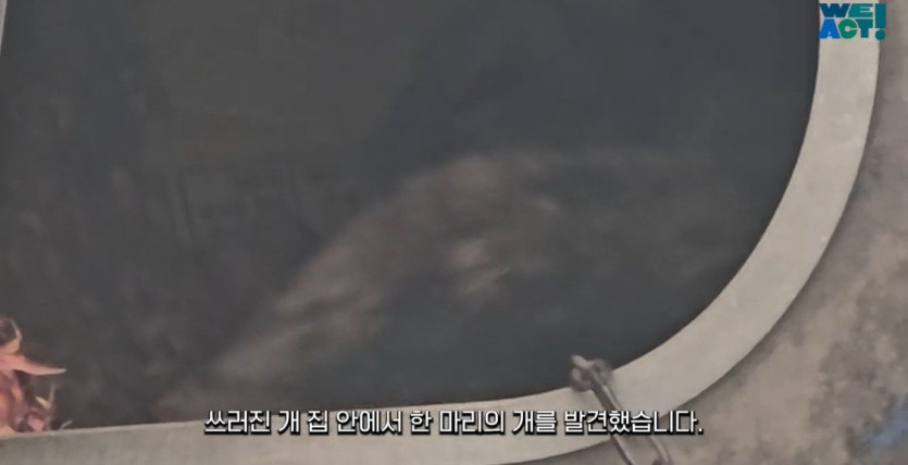 b4e0721becfeb86275b3e34f2acc3d228858606b_20250326081138.jpg 산불로 인해 목줄 묶인 개들은 그대로 죽어가는 중