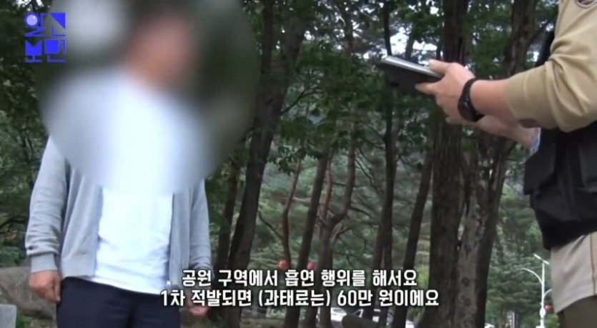 1995113527_yGXu2wne_JfHYEqUo8RFOP5gD_20250326_225430_065.jpg 국립공원에서 담배 피다 걸린 흡연자 인터뷰