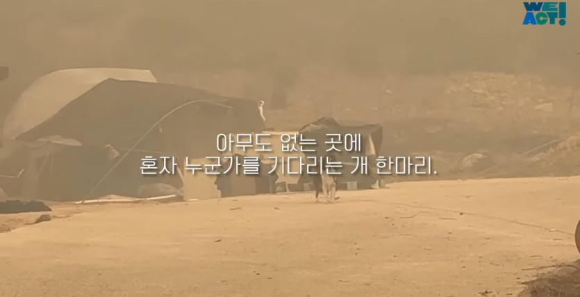 206fd29290216e9437655bce961b739d7fd73c48_20250326081203.jpg 산불로 인해 목줄 묶인 개들은 그대로 죽어가는 중