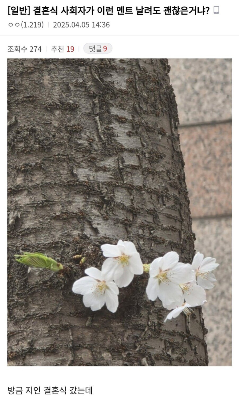 196049482df59aa5d.jpg 논란이 되고있는 오늘자 결혼식 사회자 멘트.jpg