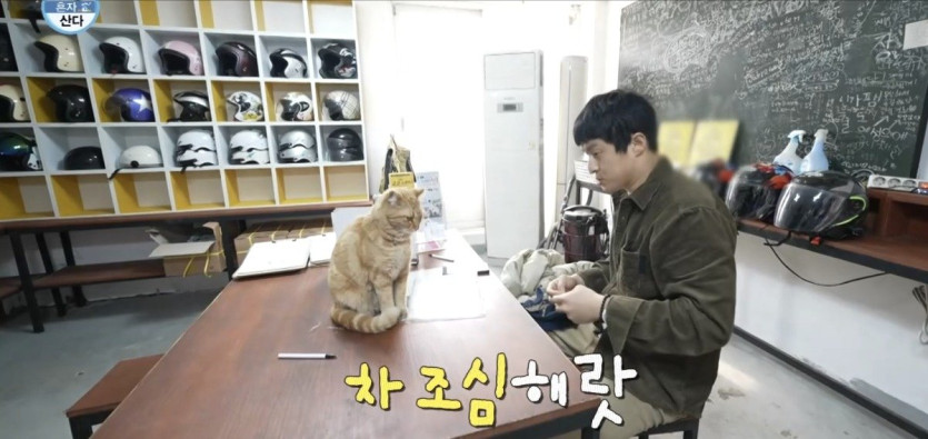 나혼산) 세상 얌전한 바이크가게 고양이 ㄷㄷ..jpg