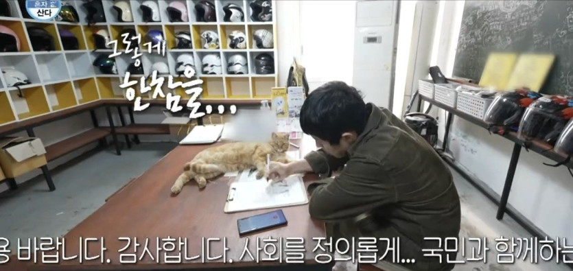 나혼산) 세상 얌전한 바이크가게 고양이 ㄷㄷ..jpg
