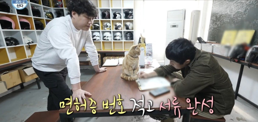 나혼산) 세상 얌전한 바이크가게 고양이 ㄷㄷ..jpg