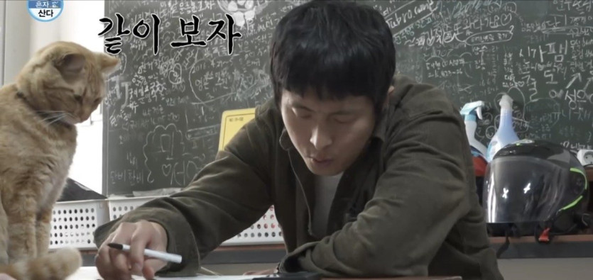 나혼산) 세상 얌전한 바이크가게 고양이 ㄷㄷ..jpg