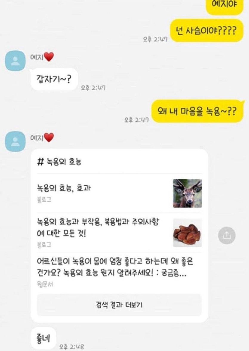 T 여친과 F 남친의 현실 카톡