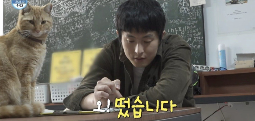 나혼산) 세상 얌전한 바이크가게 고양이 ㄷㄷ..jpg