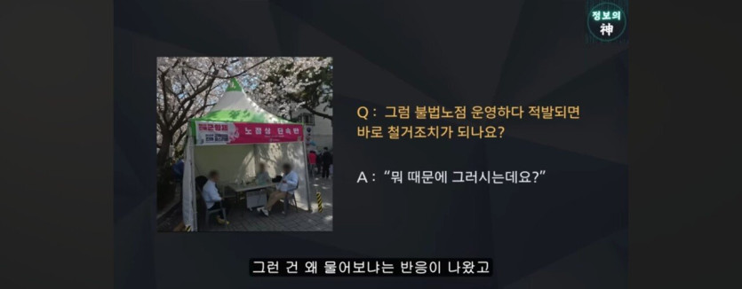 1000032613.jpg 바가지로 유명한 진해군항제 근황을 araboja