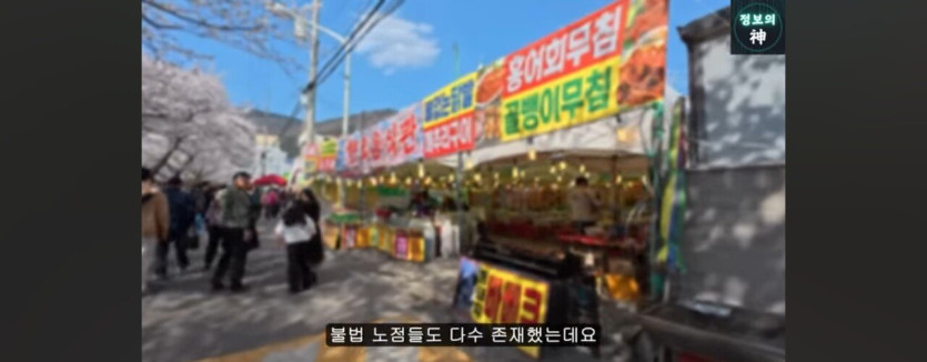 1000032605.jpg 바가지로 유명한 진해군항제 근황을 araboja