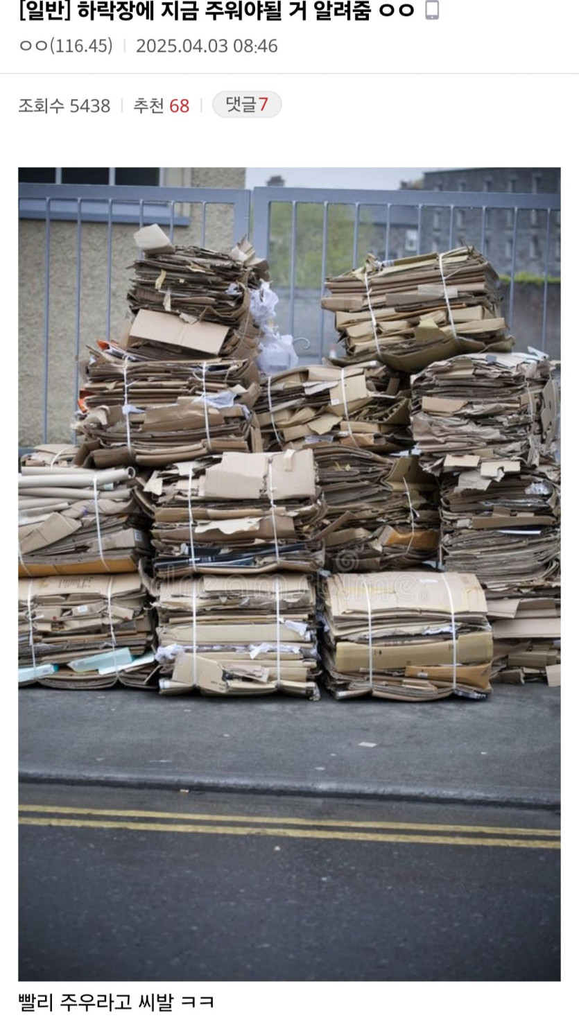 1000006326.jpg 하락장에 주워야 할 거 알려준다는 미주갤 근황 ㄷㄷ