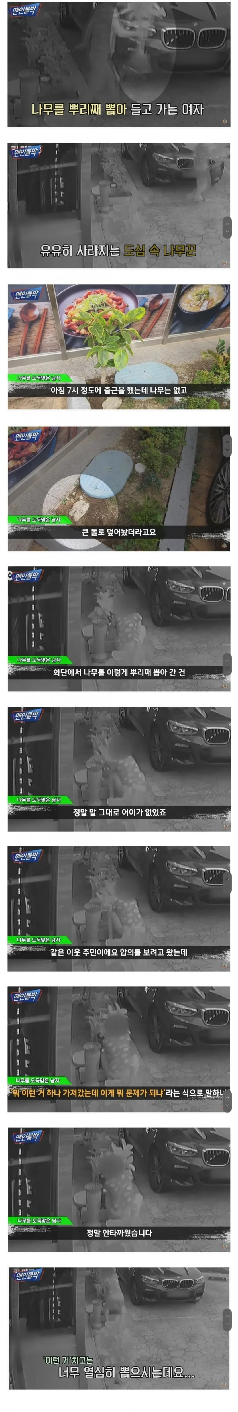 의외로 자전거만큼 많이 훔쳐간다는 