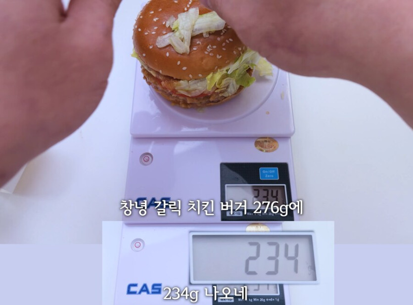 맥도날드 1년동안 나온 신제품 중량 맞는게 단 한개도 없네 ㅋㅋㅋ_2.png