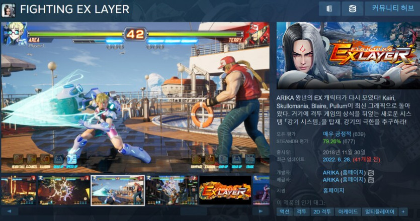 [스팀] 파이팅 EX 레이어 / 1,100원_1.png